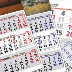 Най-продавания трисекционен календар за 2009г